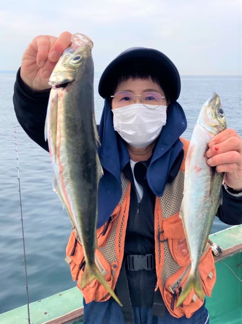 aji3.jpg