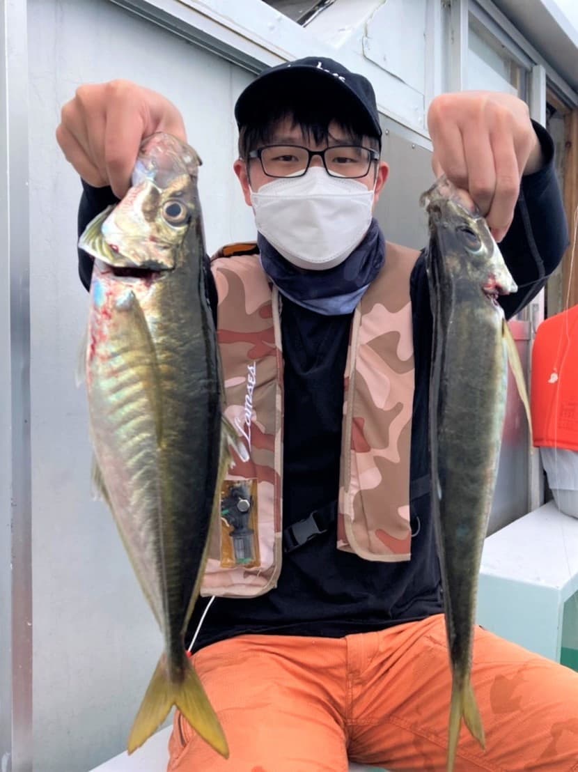 aji2.jpg