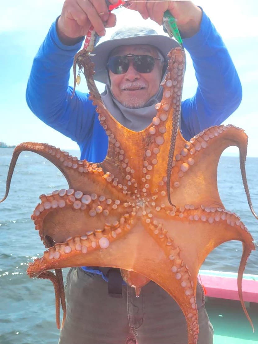 tako1.jpg